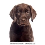 4月16号彩票开奖结果查询与中奖号码公布 1368o