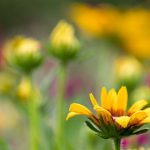 4月29日中国福利彩票最新开奖结果公布 9vk16