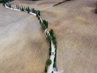 深入了解易博赢娱乐的安全性与用户体验