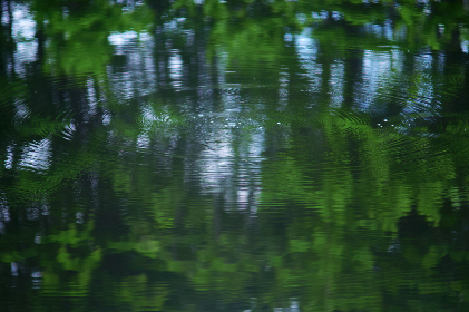 4月30日双色球开奖号码公布，大奖花落谁家引关注