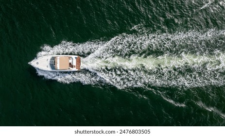 深入了解尊龙网站的安全性与用户隐私保护